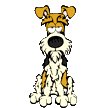 3-caes-terriers