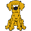 8-retrievers-levantadores-e-caes-dagua