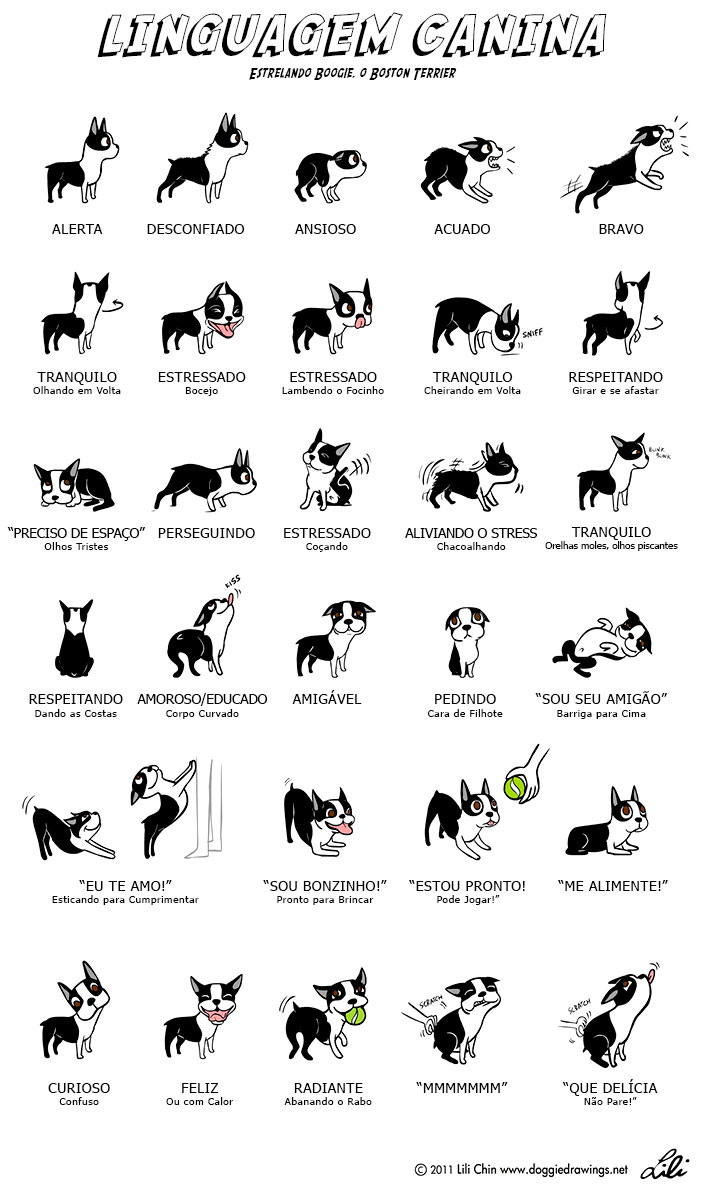 entendendo-a-linguagem-corporal-canina-4